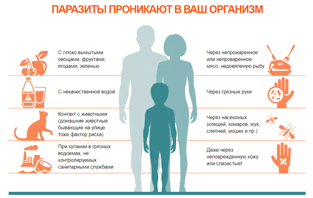 Как паразиты проникают в организм