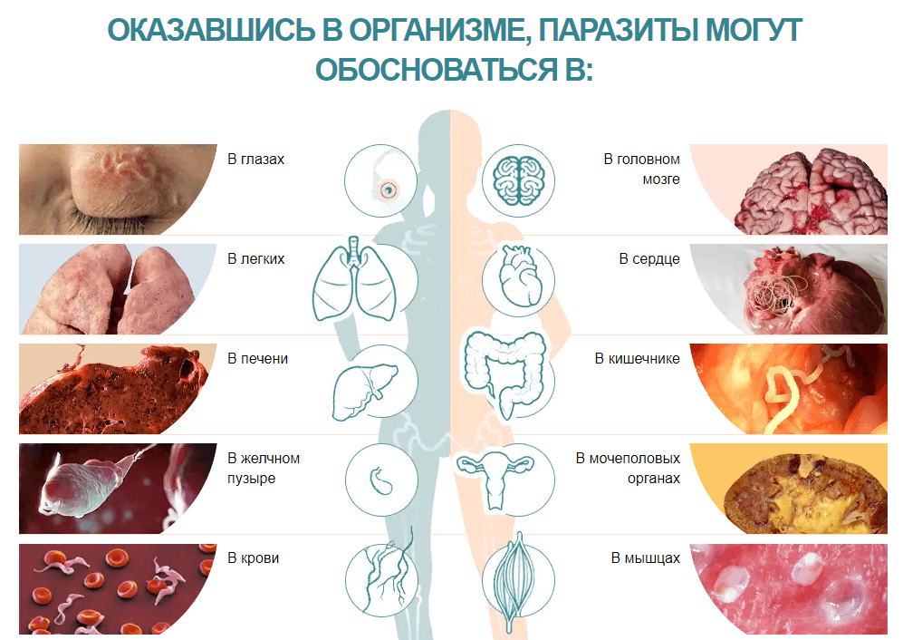 Какие органы под угрозой